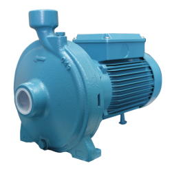 BOMBA NMM 6/A 1.5HP MONOF 220V CALPEDA